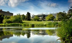 university of bath summer accommodation